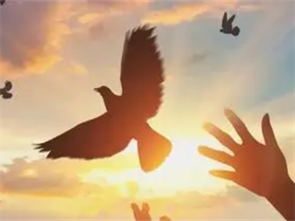 山东大学考研的时候很看重本科出身吗？