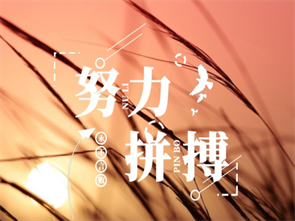 山大经济学考研的参考书目？